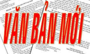 Hà Nội ban hành Quy định khung tiêu chí đánh giá hằng tháng đối với cán bộ, công chức, viên chức, lao động hợp đồng trong hệ thống chính trị